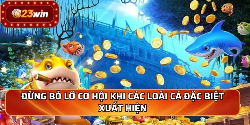 Đừng bỏ lỡ cơ hội khi các loài cá đặc biệt xuất hiện